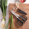 Cangshan 503343 9-inch Heavy-Duty Come-Apart Kitchen Shears with Guard