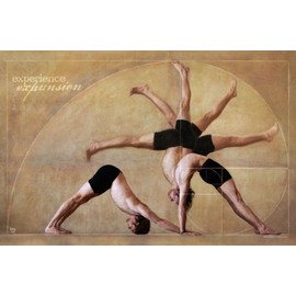 Tirtha Studios Experience Expansion Yoga Poster with Darren Rhodes
