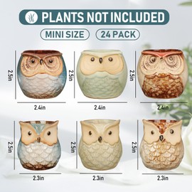 Nitial 24 Pack Owl Succulent Plant Pots Mini Owl Pot with Drainage Hole Cute Planters Small Ceramic Pots for Plants, Plants Not Included, Home Office Desk Garden Gift Ideas (Cute,2 Sizes)