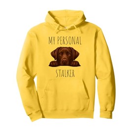 Funny Chocolate Labrador Dog Owner Pullover Hoodie