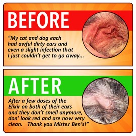 MISTER BEN'S Original Ear Elixir w/Spearmint for Dogs & Cats – NO Sting & Alcohol Free - Provides Fast Relief from Infections, itching and Odors