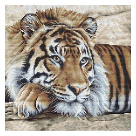 Thea Gouverneur - Counted Cross Stitch Kit - Tiger - Aida - 14 Count - Embroidery Kit for Adults - DMC Embroidery Threads and Other Cross Stitch Supplies Included - 579A