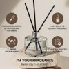 COCODOR Signature Reed Diffuser/Cedar Wood/6.7oz/1Pack / Home Fragrance Scent Essential
