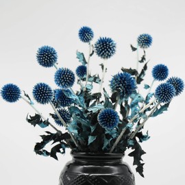 20+ Balls Dried Blue Thistle Flowers Bouquet - 15" Preserved Echinops Globe Flower for Wedding, Boho Party, Home Decor, Table Center, DIY Floral Arrangements, Present Box Decorations, Dry Flower