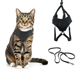 A1HC Escape Proof Cat Harness and Leash - Soft Adjustable Vest, Comfortable Mesh and Long Strips with Air Tag Pocket, Easy Control, Safe Walking Harness for Cats & Kittens - Black (Small)