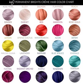 Ion Permanent Brights Crema Tinte para el cabello Wintergreen Wintergreen