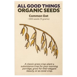 Common Oat (Avena Sativa) Seeds - Pack of 275, Certified Organic, Non-GMO, Open Pollinated, Untreated Vegetable Seeds for Planting – from USA