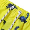 LIZENS Boys Swim Trunks UPF 50+ Quick Dry Striped Bathing