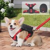 Dog Backpack Harness for Small and Medium Dogs, Adjustable Lightweight