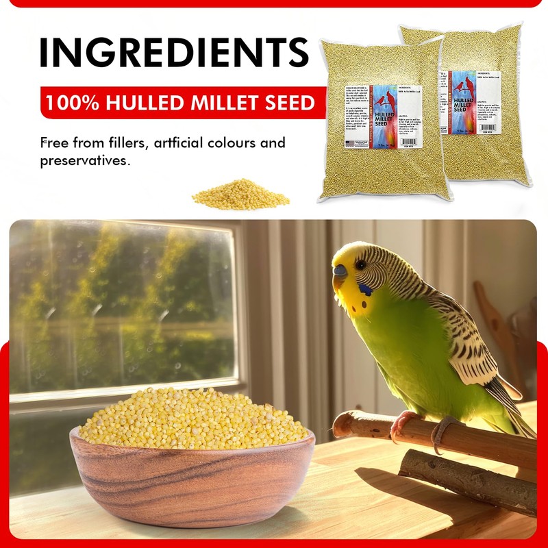 Morning Bird Hulled Millet – Nutritious Seed, Easily Digestible with