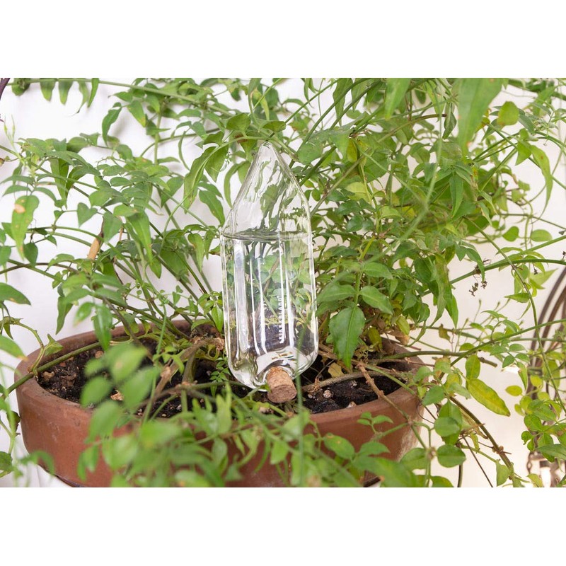 Kikkerland Hand Blown Glass Self Watering Stake for Potted Plants