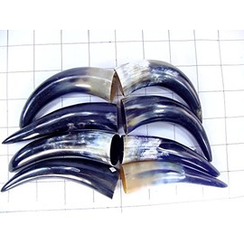 Drinking Powder (8) Bull Craft Cow Horns Larp SCA Medieval