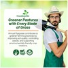 Outsidepride Ryegrass Seeds - 50 lb. Annual, Hardy & Fast-Growing,