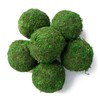 GARNETIN Natural Green Moss Decorative Ball,Handmade (3.5"-Set of 6)