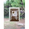 はかたマルシェ 長崎県産 松かさのちから 松かさ粉末(松ぼっくり) 煎じ用 100ｇ 松を飲んだり 松を食べる 松葉茶
