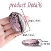 AWARDSEN AWARDSEN 2.4" Large Rhodonite Crystal Stone Polished Palm Stone