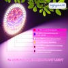 highydroLED 156-LED Full Spectrum Plant Light, E27 Grow Bulb for