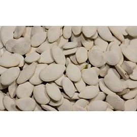Bayside Candy Roasted Pumpkin Seeds In Shell Squash Seed (Salted, 1LB)