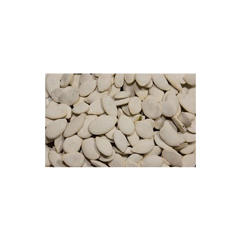 Bayside Candy Roasted Pumpkin Seeds In Shell Squash Seed (Salted,