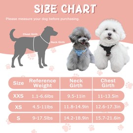 Guiding Star Puppy Harness and Leash Set, No Pull Lightweight Soft Adjustable Escape Proof Pet Harness Vest with Multifunction Dog Leash for Puppy Small Size Dog (Sky Blue-XXS)