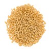 Certified Glyphosate Residue Free Soft White Wheat Berries | 25