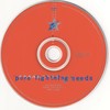 Pure Lightning Seeds