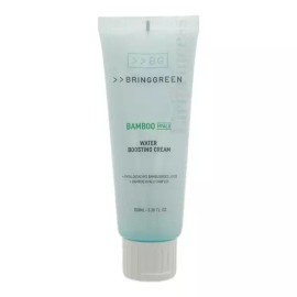 Bring Green 브링그린 대나무 히알루 수분 부스팅 크림 100ml Bring Green Bamboo Hyalu Moisture Boosting Cream 100ml