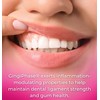 GingiPhase Natural Herbal Dental Support Supplement for Healthy Gums, Teeth,