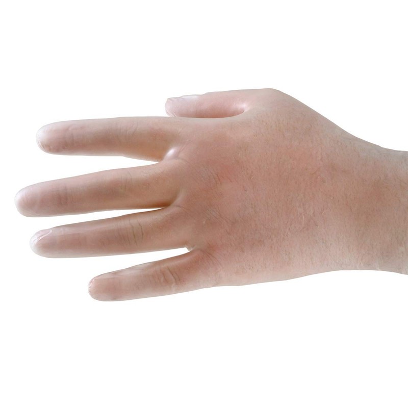 Everyday Clear Vinyl Gloves, Powder Free, Large, 100 Gloves