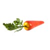 Artificial Fruits and Vegetables - Many Varieties Available - Fake