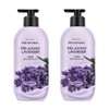 On the Body The Natural Body Lotion Relaxing Lavender Scent, 400ml, 2 pieces / 온더바디 더내추럴 바디로션 릴렉싱 라벤더향, 400ml, 2개