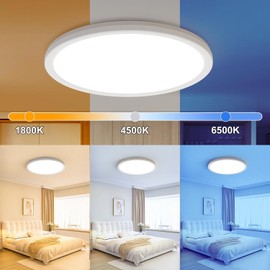 AmazeFan 12 Inch LED Ceiling Light Dimmable - 24W 2400LM Modern Ceiling Lamp with Remote Control - 6W Night Light Warm - LED Flush Mount Ceiling Lights for Bedroom Kitchen Living Room Round (White)