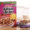 Kellogg's Raisin Bran, Breakfast Cereal, Original with Cranberries, Good Source