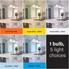 Feit Electric A19 LED Light Bulb, 60W Equivalent, Dimmable, Color