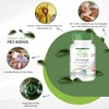 Probiotic Immune Probiotischen Cultures for Healthy Digestion and a smooth