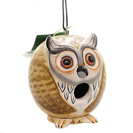 Songbird Essentials SE3880065 Owl Gord-O Birdhouse (Set of 1)