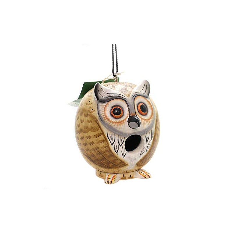 Songbird Essentials SE3880065 Owl Gord-O Birdhouse (Set of 1)