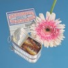 Siesta Co. 5 Variety Pack (Tinned seafood: Sardines, Mussels, Mackerel,