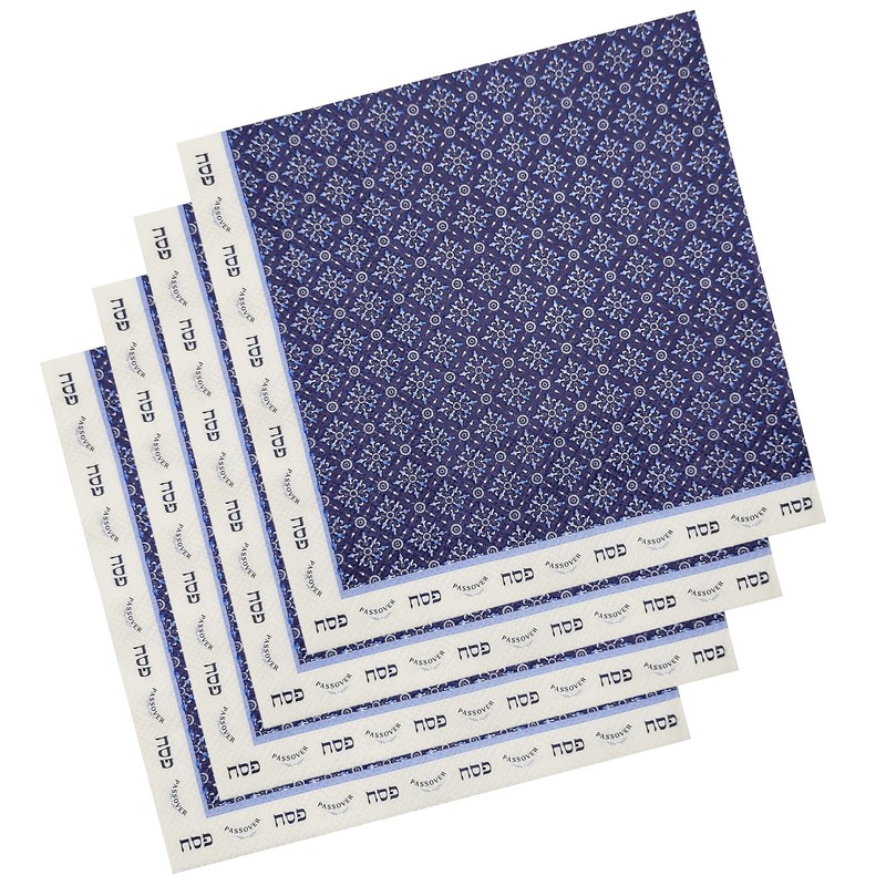 The Dreidel Company Passover Seder Plate Design Paper Goods Party