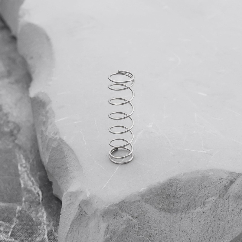 SG Store 4pcs L1R1 L2R2 Button Key Springs Compatible with