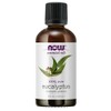 eucalyptus Essential Oil, Commercial Use, 4.0 fl oz (118 ml)