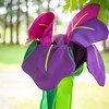 In the Breeze 5227 — Iris Windtail — Colorful 3D
