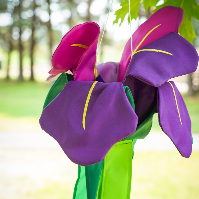 In the Breeze 5227 — Iris Windtail — Colorful 3D