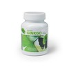 Ginkgo 240 mg | Ginkgo High Dose EDOSO | 60