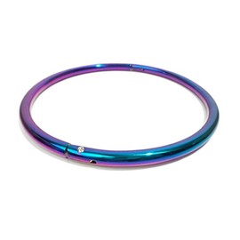 14" Rainbow Eternity Collar Slave Day Collar