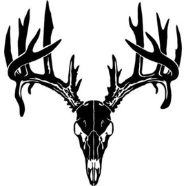 Deer Buck Skull Antlers Hunter Hunting Sportsman Car Truck Windows Decal Sticker - Die cut vinyl decal for windows, cars, trucks, tool boxes, laptops, MacBook - virtually any hard, smooth surface