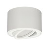 EDO Zalda OV Surface-Mounted Spotlight, White, Round, Extra Flat, Swivelling