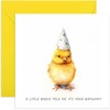 Old English Co. Cute Little Birdie Birthday Card - 'A