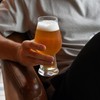Luigi Bormioli Birrateque 18.25 oz IPA Beer Glasses (Set of