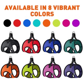 Dogline York Step-in Air Mesh Dog Harness No Choke Pet Vest Soft Gentle Padded Chest Halter for Puppies Small Medium and Large Dogs 17-19 Inches Girth Lime Green